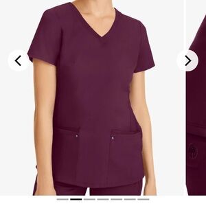 Healing Hands Scrub set in Wine